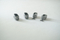 Stamping Parts
